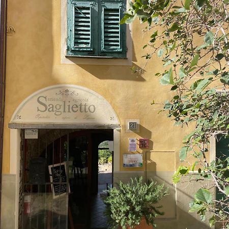 Uliveto Saglietto Agriturismo A Poggi Apartments Imperia Exterior photo