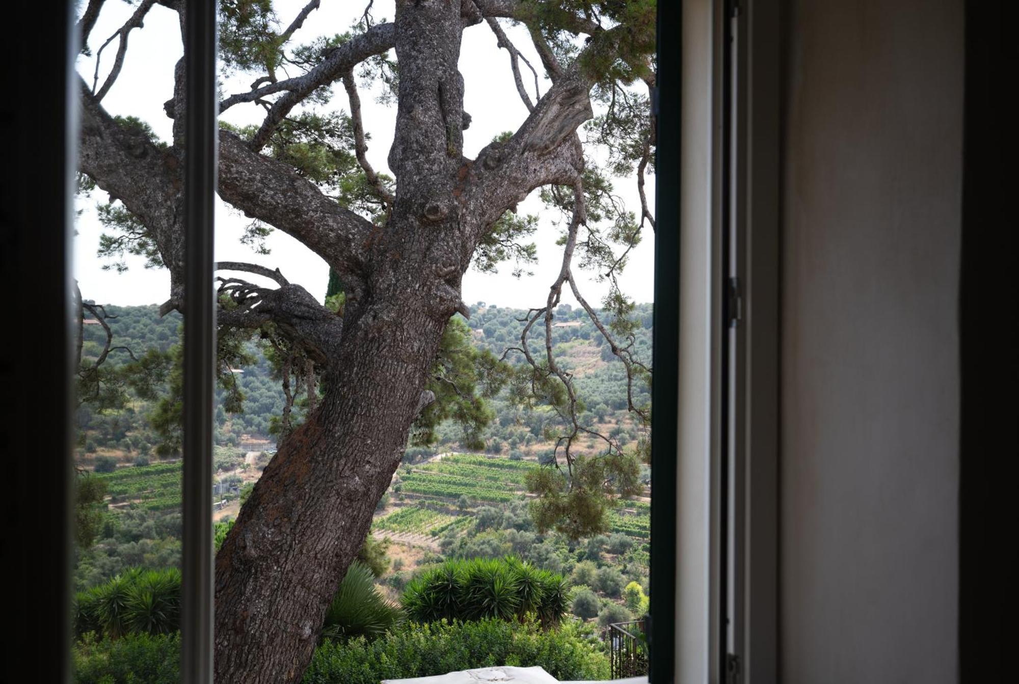 Uliveto Saglietto Agriturismo A Poggi Apartments Imperia Exterior photo